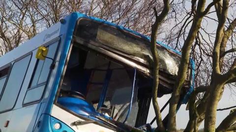 Bus crashed into a tree