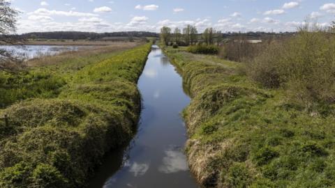 RSPB Ham Wall Nature Reserve, Somerset, May 2020