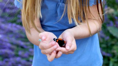 Princess Charlotte holding a butterfly