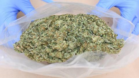 Bag containing cannabis
