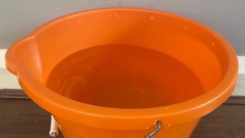 Bucket of water