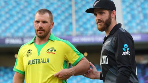 Aaron Finch and Kane Williamson