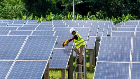 field of solar panels with a workman