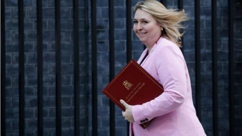 Karen Bradley arrives for a cabinet meeting