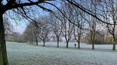 Frosty park