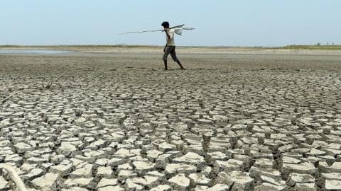 Drought affected Maharashtra