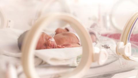 Premature baby in a hospital incubator