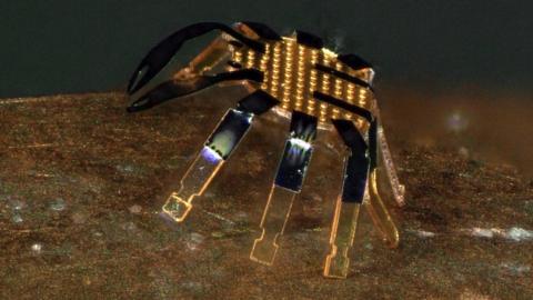 micro robot