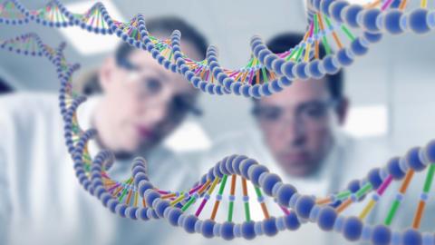 Two scientists out of focus peer at two double helixes, representing DNA