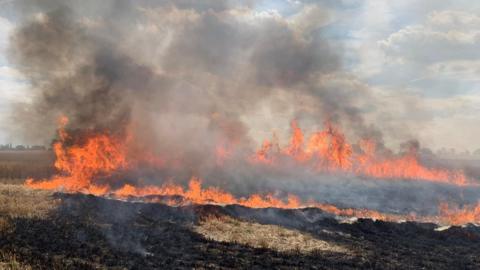 Fire in a field in Ongar