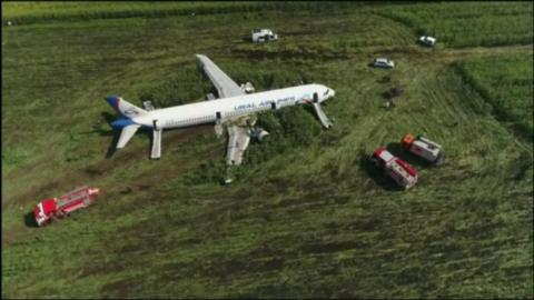 Bird strike forces Russian airliner to crash-land