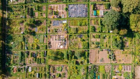 An allotment from the air