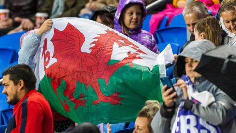 Wales fans at Cardiff City Stadium