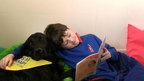 Boy reading with a Pets As Therapy dog