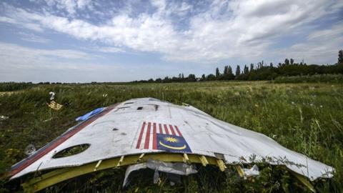 A piece of the wreckage of the Malaysia Airlines flight MH17 is pictured in a field near the village of Grabove, in the region of Donetsk on July 20, 2014.