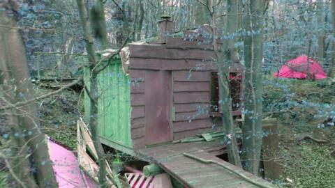 Shed in a forest