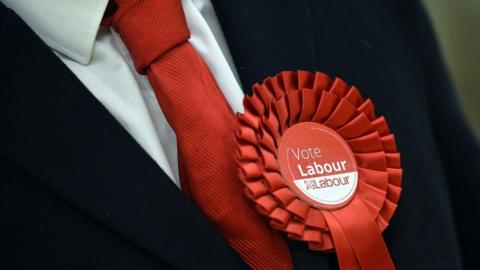 Labour rosette