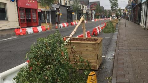 Wellfield Road trees