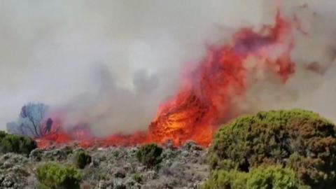 Flames rise from the forest surrounding Mount Kilimanjaro