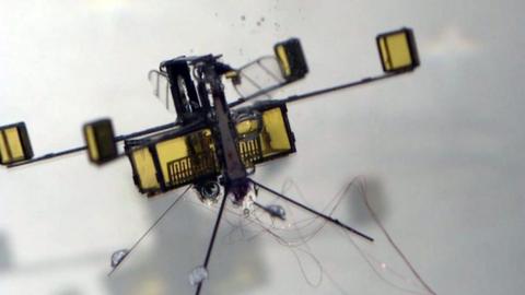 The robot that can swim and fly