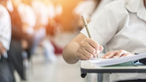 Pupils at school desks