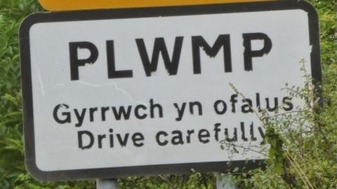 Arwydd Plwmp