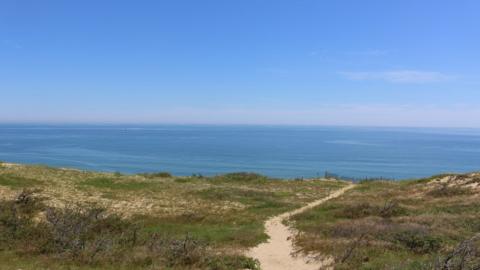 Stock image of a Wellfleet beach showing sand dunes and ocean