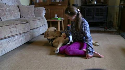 molly-and-dog-chess.