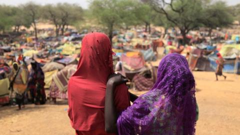 Makeshift shelters for Sudanese people who have fled the conflict in the Darfur region and who were previously internally displaced in Sudan, near the border between Sudan and Chad, 13 May 2023