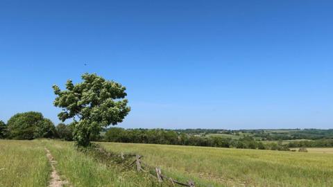 Blue skies over a field in Brinsley, Notts. Picture taken by BBC Weather Watcher Brinsley Helen