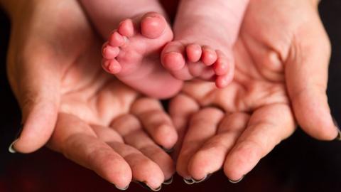 A baby's feet in cupped hands
