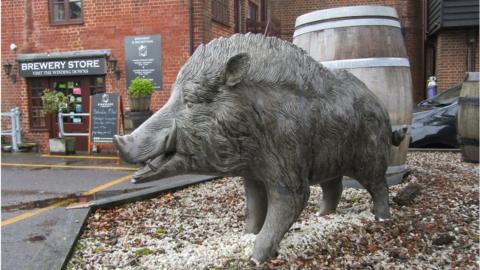 Boar statue at Ringwood Brewery