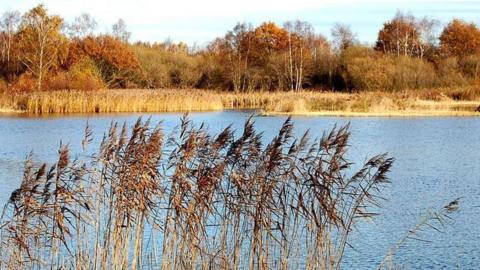 Potteric Carr nature reserve