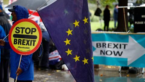 One demonstrator brandishes an EU flag and a sign saying "Stop Brexit" - while right beside them another sign declares "Brexit now"