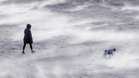 Dog walker in Tynemouth