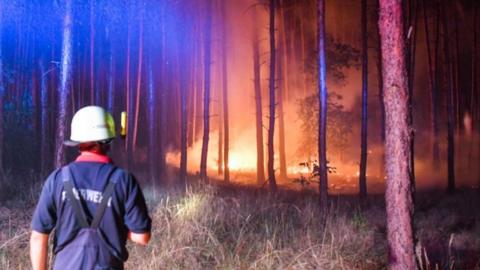 A firemen faces flames in a burning forest in Klausdorf, north-eastern Germany