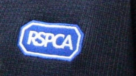 RSPCA logo from uniform