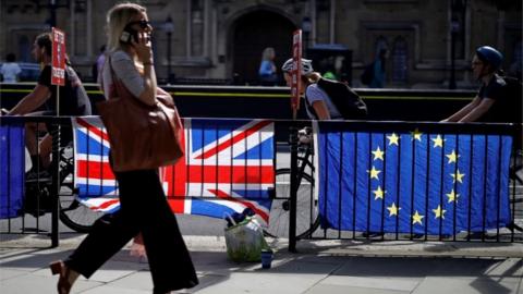 brexit flags