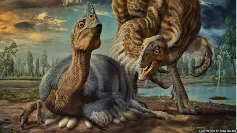 Reconstruction of the dinosaur incubating its eggs