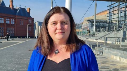 Sioned Williams, Aelod o Senedd Cymru