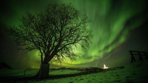 Northern Lights are seen in the sky over the town of Lofoten, Norway. November 08, 2023.