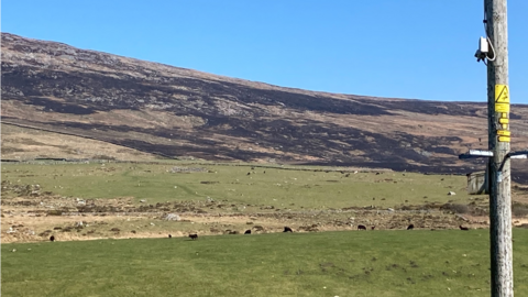 Scorched earth on Mynydd Graig Goch