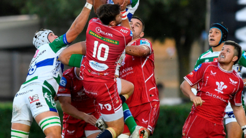 Scarlets a Benettom