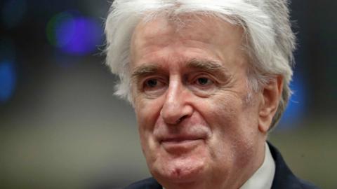 Radovan Karadzic at his appeal hearing, 23 April 2018