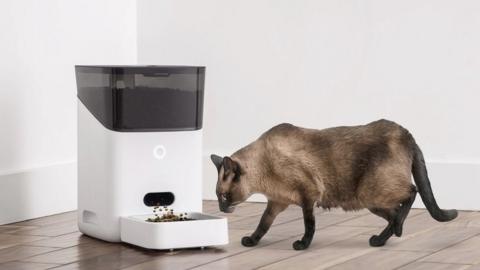 Petnet feeder and cat