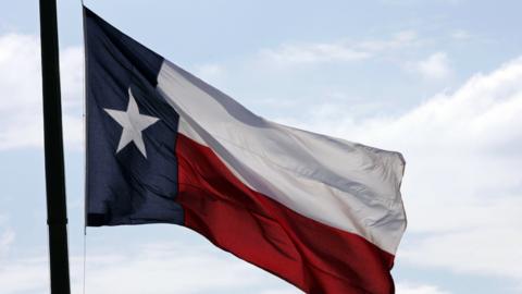 The Texan flag