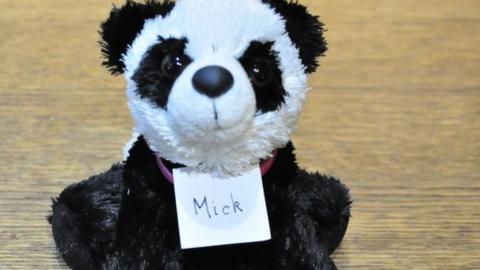 A photo of a toy panda with the label Mick