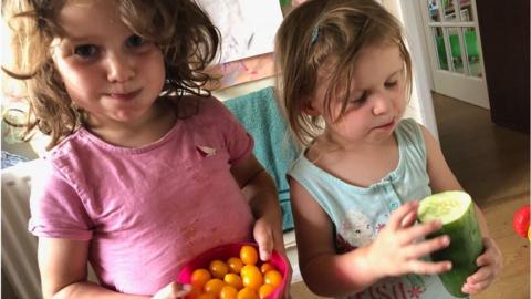 Sofia and Anna grew their own cucumber and tomatoes during the summer holidays