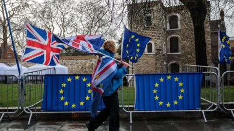 Anti-Brexit protesters demonstrate outside the Houses of Parliament on 18 March 2019 in London