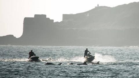 dolphins and jet skiers in the sea